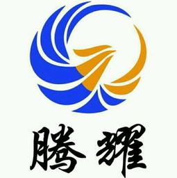 深入解析 腾耀科技与腾鑫科技的工作环境对比分析